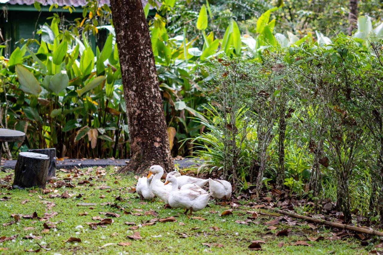 Blu Monkey Pooltara Krabi Hotel & Villas Pet Friendly 외부 사진